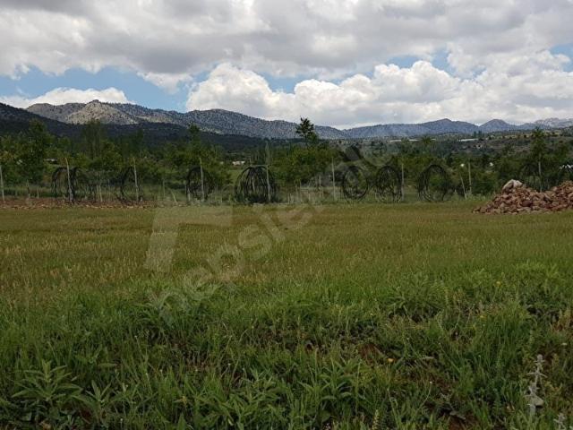 Seydikemer Doğanlarda Yola Köyiçine Yakın 1044m2 Satılık Tarla