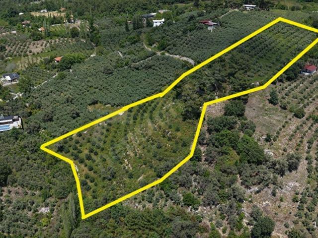 Seydikemer Yaka mahallesinde Satılık 14 Dönüm 3 ayrı Parsel
