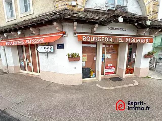 Seyssel 74910 Achat / Vente divers