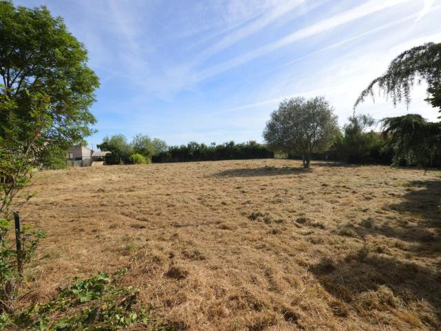 Seysses Vente Terrain 31