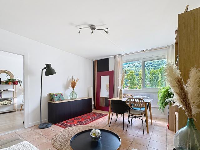 Seyssinet Pariset Vente Appartement 38