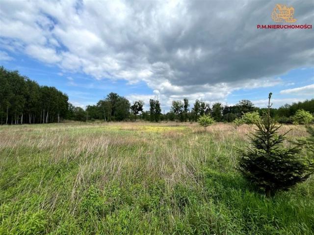Składowa 9 800 m², Rybnik