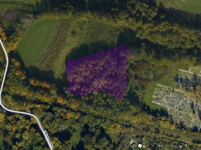 Składowa 10 348 m², Zabrze