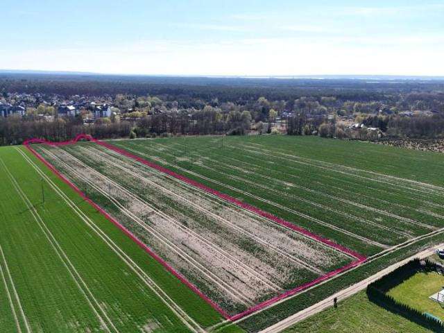 Składowa 24 700 m², Goleniów