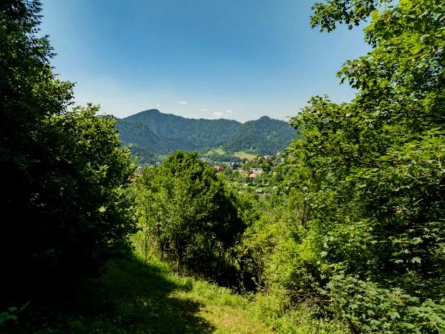 Skotnicka 1 295 m², Szczawnica