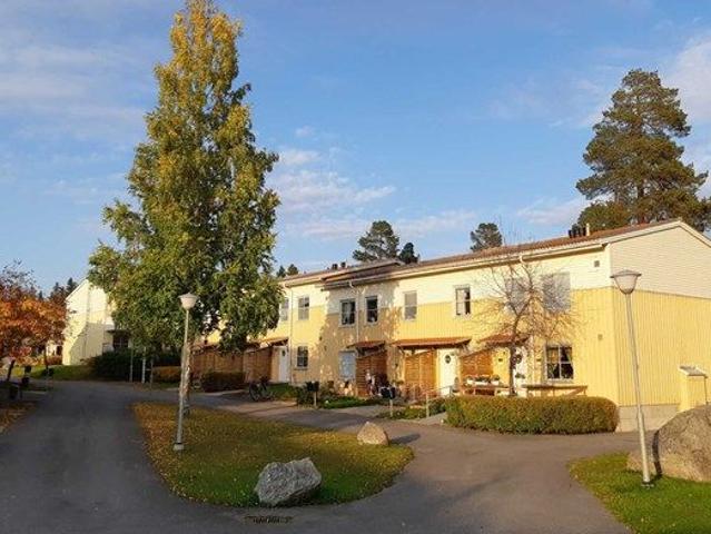 Skogvaktarvägen 81