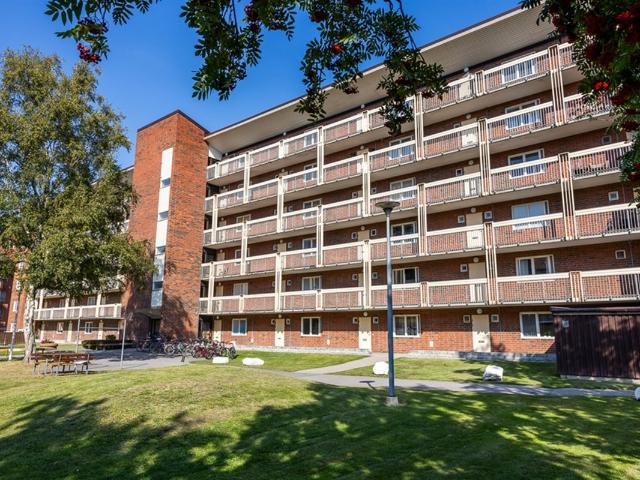 Skolgatan 23