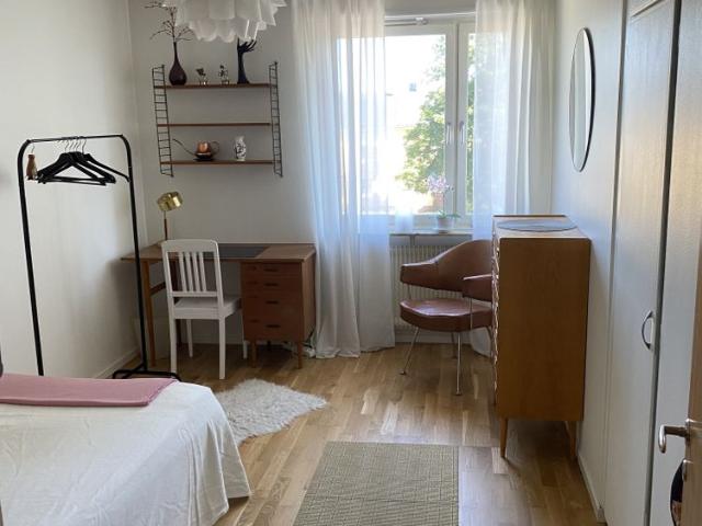 Skolgatan, Umeå