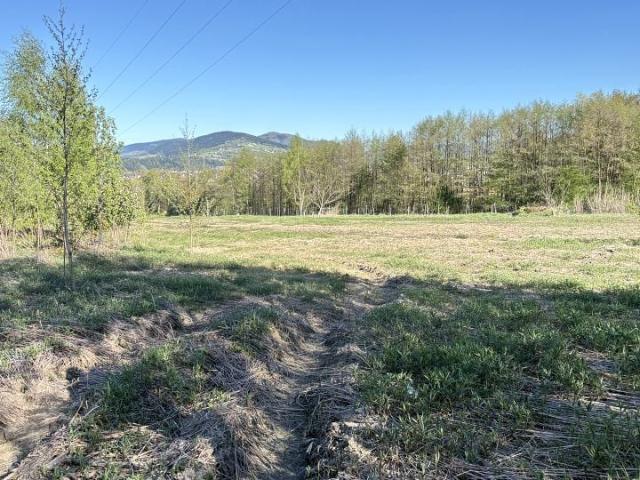 Skalna 7 530 m², Nowy Sącz