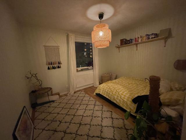Skebokvarnsvägen, Bandhagen