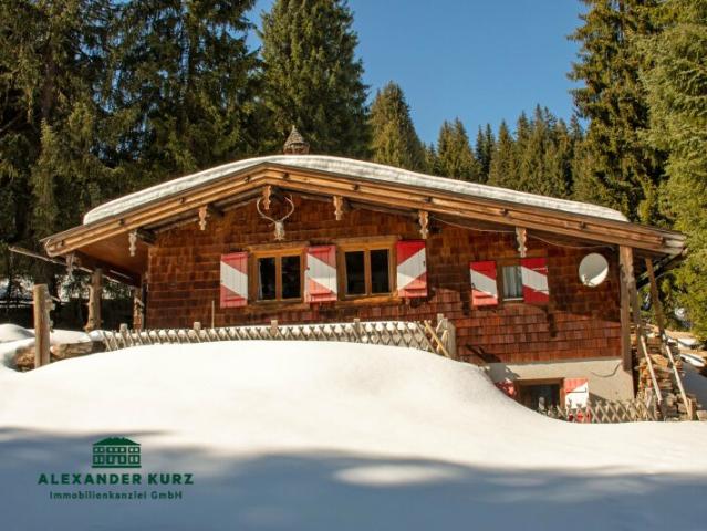 Ski /Almhütte im Skigebiet Saalbach Hinterglemm