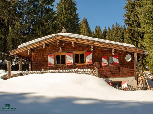 Ski /Almhütte im Skigebiet Saalbach Hinterglemm