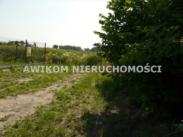 Skierniewice, 800 m2