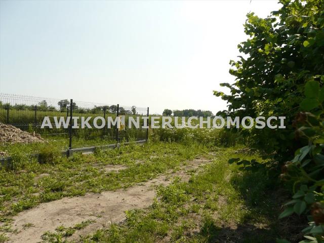 Skierniewice, 801 m2