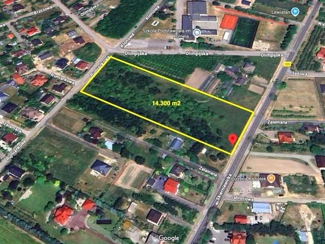 Skierniewicka 14 300 m², Kozłów Biskupi