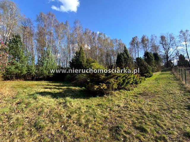 Skrzyszowska 3 750 m², Wodzisław Śląski