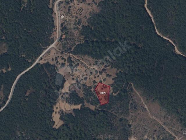 SKY'DAN MUĞLA GÖLCÜK'DE FIRSAT FİYATLI SATILIK 2.438 M2 ARAZİ