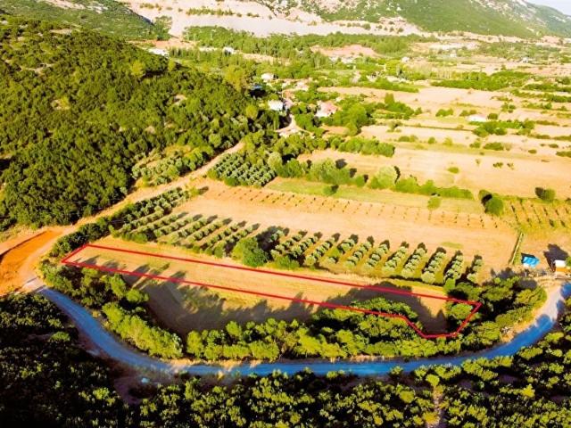 SKY'DAN MUĞLA GÜLAĞZI'NDA MÜTHİŞ KONUMDA SATILIK 2.5 DÖNÜM ARAZİ