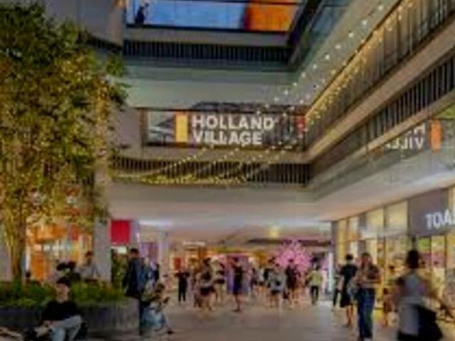 Holland Village Way D10, Condominium
