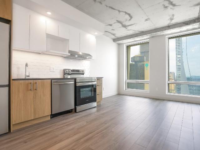 Skyla 1 Bedroom Apartment for Rent at 900 Rue Saint Jacques, Montréal, QC H3C 1A5 Vieux Montréal