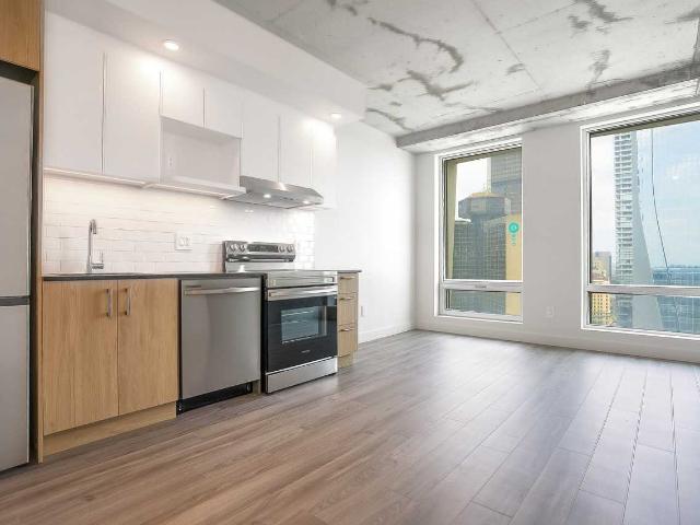 Skyla 1 Bedroom Apartment for Rent at 900 Rue Saint Jacques, Montréal, QC H3C 1A5 Vieux Montréal