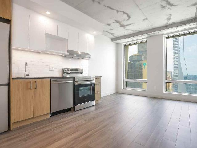 Skyla Studio Apartment for Rent at 900 Rue Saint Jacques, Montréal, QC H3C 1A5 Vieux Montréal