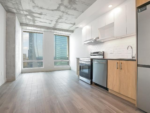 Skyla Studio Apartment for Rent at 900 Rue Saint Jacques, Montréal, QC H3C 1A5 Vieux Montréal