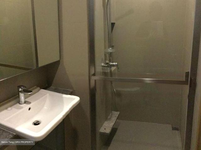 Skyline Residences D4, Condominium