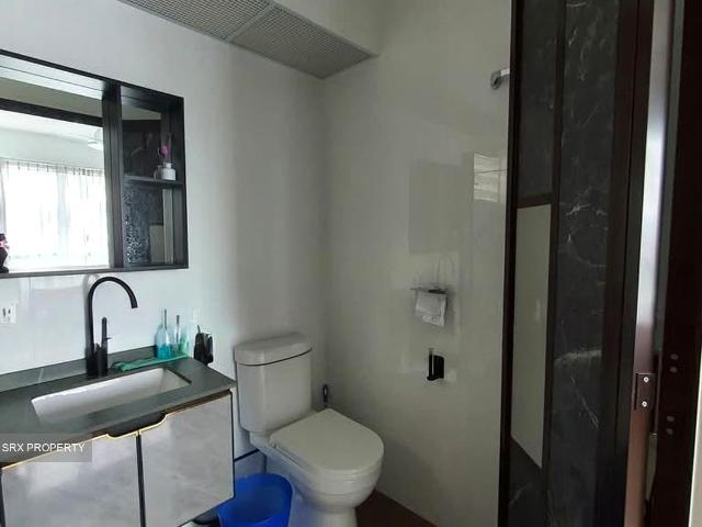 Skyoasis @ Dawson Queenstown, HDB 4 Rooms
