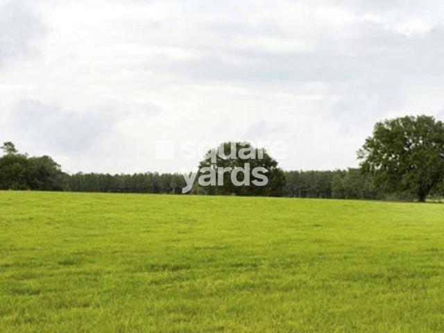 Skyom City 800 Sq.Ft. Plot in Mohanlalganj Lucknow Listing ID: #9624