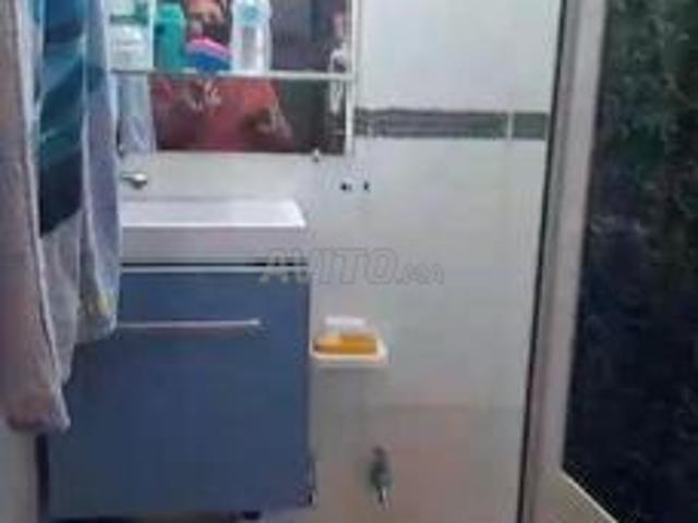 شارع الحشرات