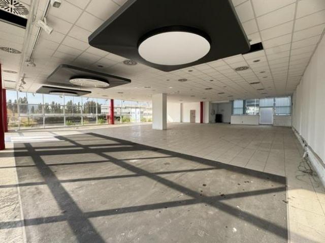 Show Room in affitto a Livorno