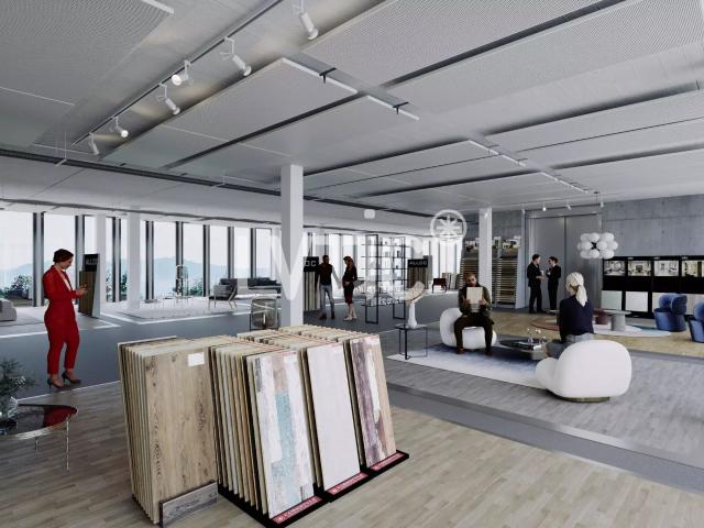 Showroom, warehouse, offices of 2300 m2 div from 700 m2 for sale in Crissier | dreamo. Ch
