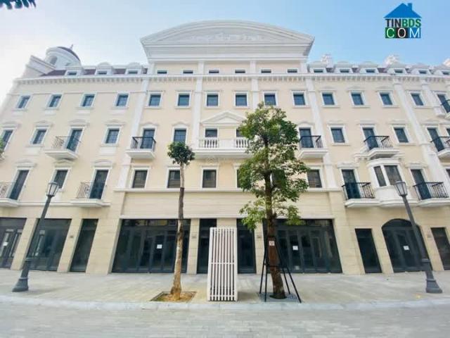 Shophouse 120m2 áp góc cạnh quảng trường lớn Carnival miễn phí chuyển nhượng