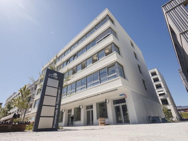 Shopping center for rent in Crissier 85 m² | dreamo. Ch