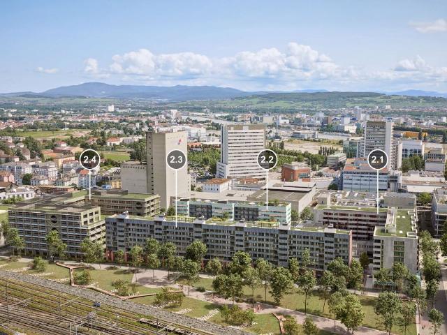 Shopping center for rent in Basel 100 m² | dreamo. Ch