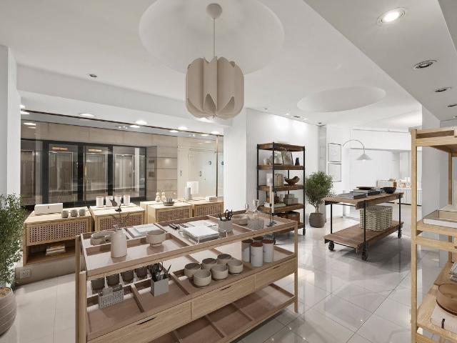 Shopping center for rent in Basel 182 m² | dreamo. Ch