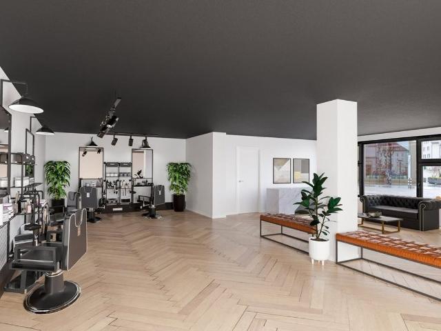 Shopping center for rent in St. Gallen 130 m² | dreamo. Ch