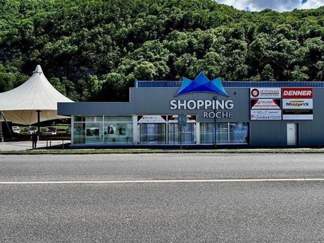 Shopping center for rent in Villeneuve VD 1 400 m² | dreamo. Ch