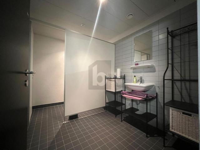 Shopping center with 3 rooms for rent in Wallisellen 216 m² | dreamo. Ch