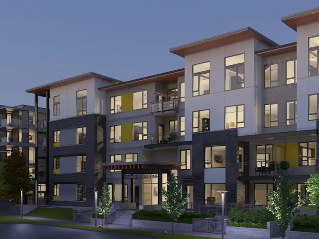 Shoreline 307