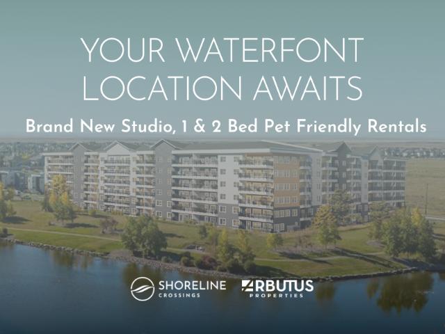 Shoreline Crossings Studio [object Promise] for Rent