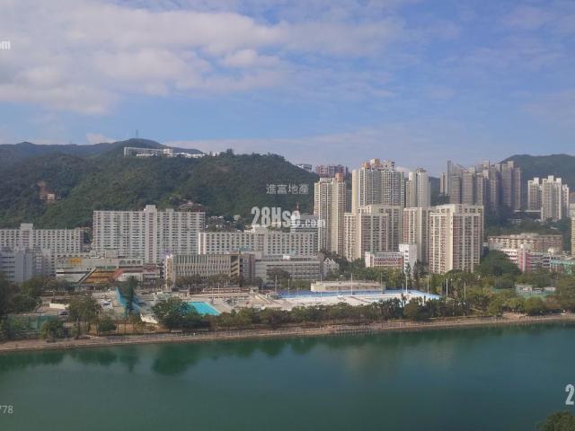 Shatin Garden Rivera [Agency Ads] High Floor 27 36|36/F,Block D Jinfu Real Estate 1 Bedroom Apartment For Rent First Come, First Served! Hints