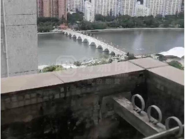 沙田中心 唐寧大廈 D座 高層 F室