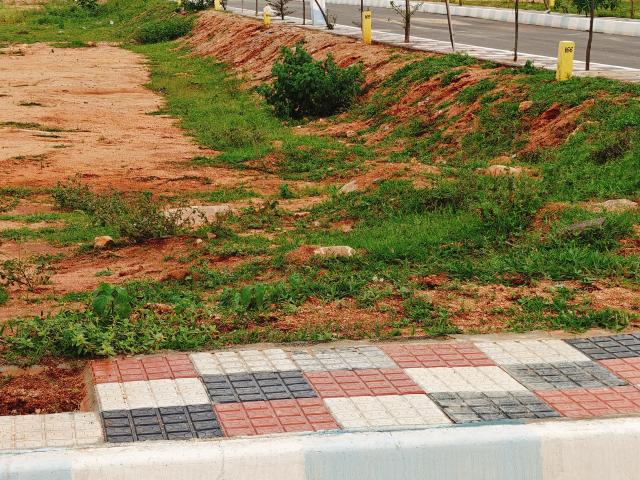 Shadnagar, South Zone 198 Sq.Yd. Plot in Shadnagar Hyderabad Listing ID: #10072