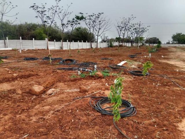 Shadnagar Residential Plot For Sale Ranga Reddy