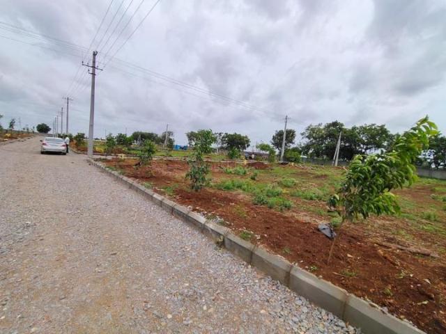 Shamirpet Residential Plot For Sale Hyderabad