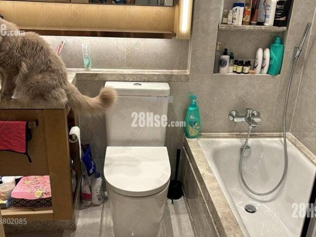 山水盈 #3802 售盤樓盤詳細資料