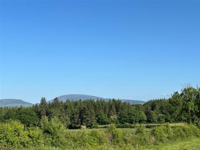Shantraud, Killaloe, Clare Harry Brann Auctioneers & Valuers 4929 MyHome. Ie Residential