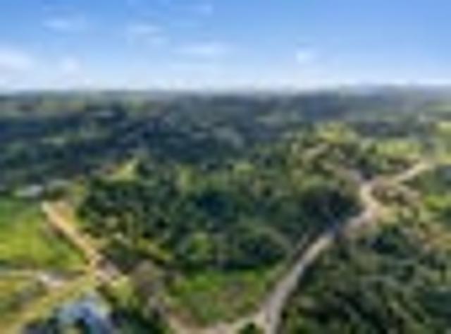 Shape Your Paparoa Rural Story
